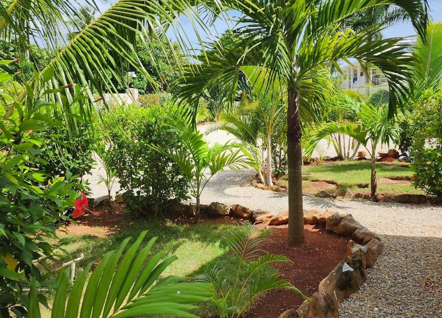 Luxury Room Close To The Beach 拉斯加勒拉斯 多米尼加共和国